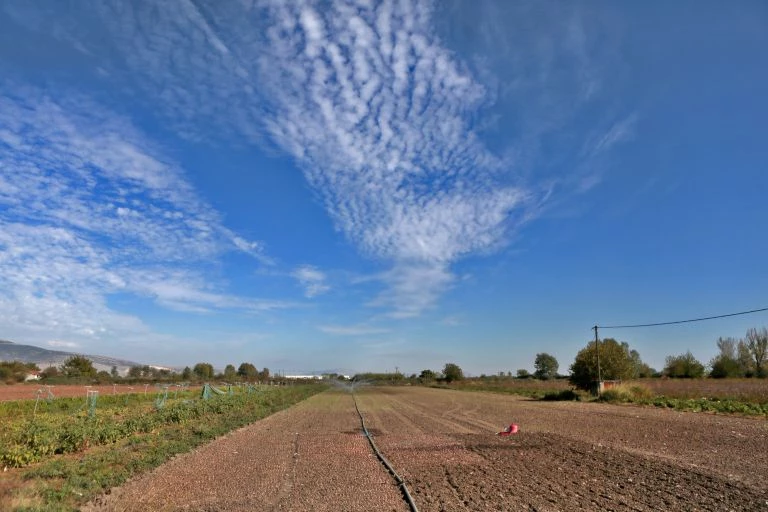 Χιλιάδες στρέμματα γης σε αγρότες, άνεργους και νέους χαρίζει η κυβέρνηση- Ποιες οι προϋποθέσεις, τα κριτήρια και οι προθεσμίες
